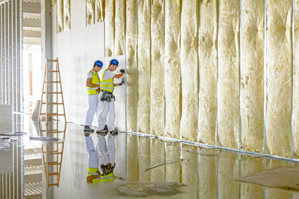 Best Insulation for New Construction  in Harrison, NY